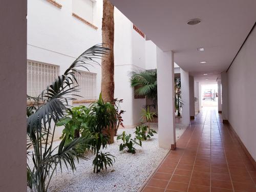 Exterior view, Apartment, Linnea Sol, Orihuela in Torrevieja