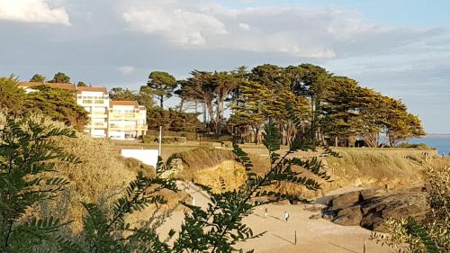 Appartement en RDC avec terrasse face a la mer