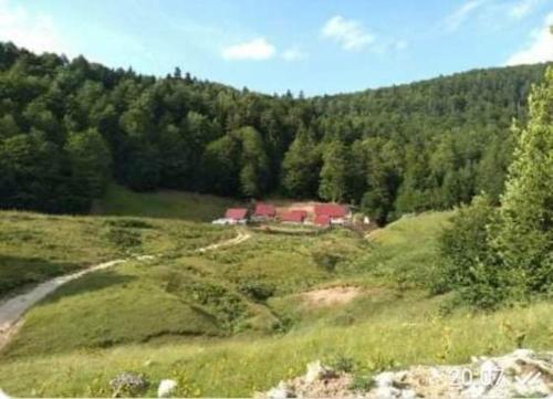 KATUN DULOVIC Bjelasica