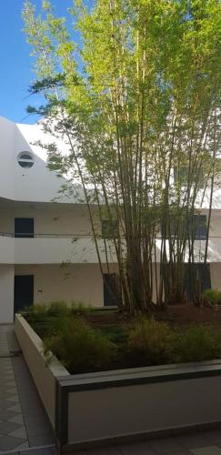 Studio Boucan Canot meuble de tourisme classe 3 etoiles a 2 pas des plages
