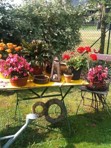 Jardín, Ferienwohnung Laßmann in Lohmen