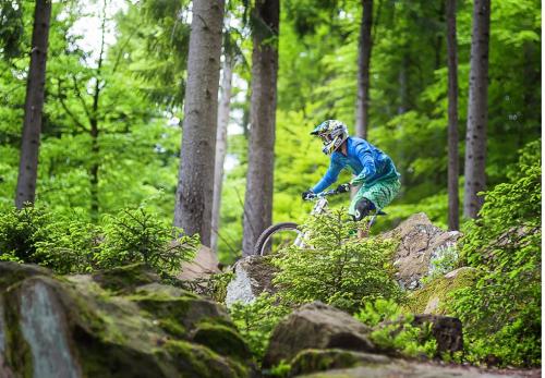 Ferienwohnung am Enzufer mit Wintergarten Bad Wildbad im Schwarzwald