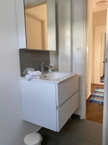 Appartamento Via Saleggi 10 in Ascona