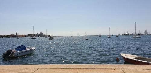 One-Bedroom Apartment image 1