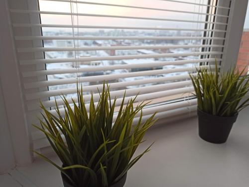 City View Apartment - image 8