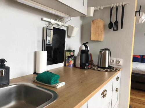 Schwanenburg rest in Gulbene