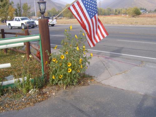 High Country Motel - image 7