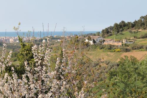 B&B Azzurra - image 2