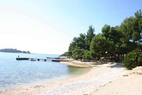 沙灘, Apartments in Rovinj - Istrien 11528 in 蒙塞納
