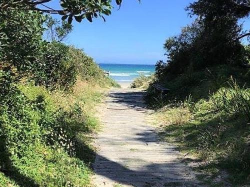 Waratah Bay Tree Tops Escape - Walkerville North