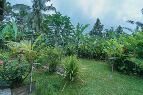 Vaneka Garden House