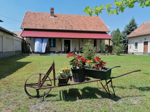  István Vendégház, Pension in Mórahalom