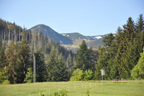 APARTAMENTY U Bliźniaków, Zakopane
