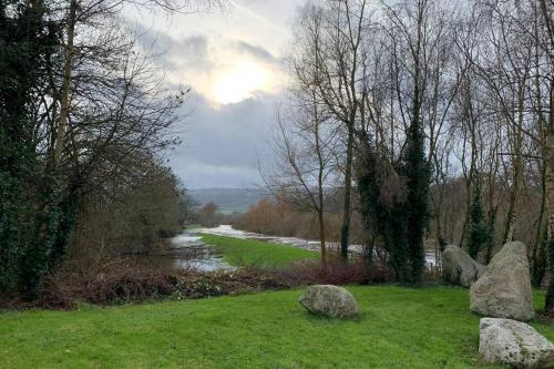 Two Bedroom Town House Beside The River Barrow