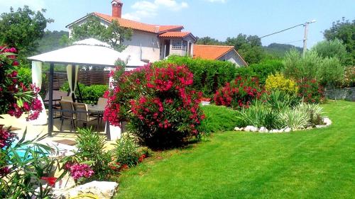 Holiday Home Ripenda Kras (676) - image 5