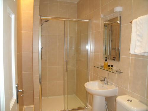Britannia Guest House - image 10