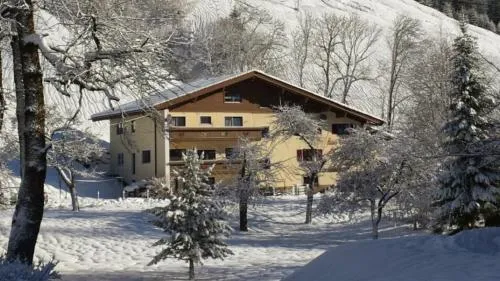 Pension & Ferienwohnungen Haus Edelweiß in Holzgau, Österreich
