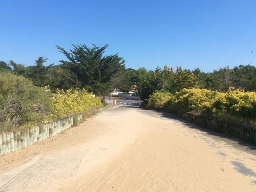 Ensemble, dans une grande maison de Noirmoutier