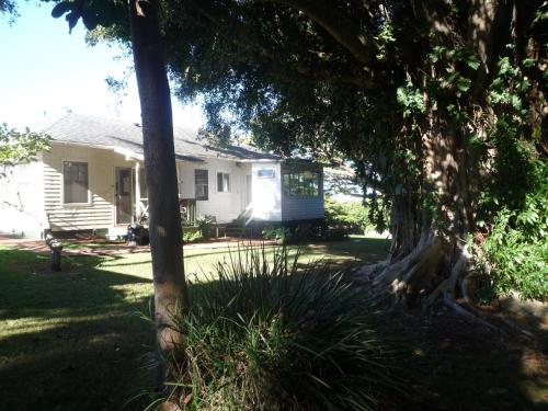 Banyan Tree B&B Retreat Banyan Tree B&B Retreat