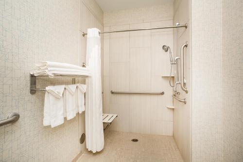 King Room with Roll-in Shower - Non-Smoking