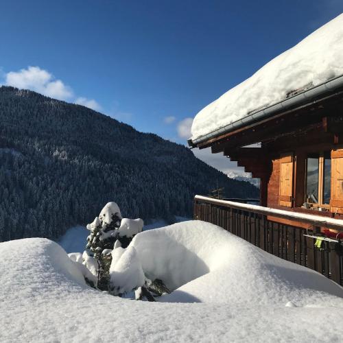 La marmotte qui papote Le Grand Bornand