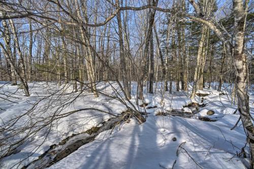 Berkshires Home on 11 Acres with Pond and 2 Fire Pits! - image 7