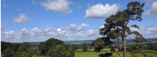 Our beautiful large Suite room with a Double bath with Shower ensuite - It has a full Kitchen boasting stunning views over the Axe Valley - Only 3 miles from Lyme Regis, River Cottage HQ & Charmouth - Comes with free private parking