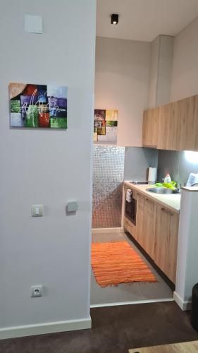 Apartman No1,Župa Wellness & Spa Kopaonik (Apartman No1,Zupa Wellness & Spa Kopaonik) in Kopaonik