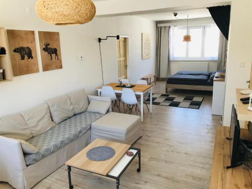 Apartmán Orlické Záhoří (Apartman Orlicke Zahori) in Svitavy