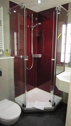 Hotel zum Adler - Superior - image 9