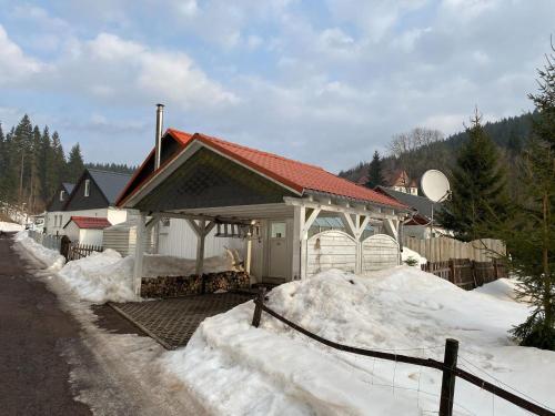 Detached holiday home with fenced garden in beautiful Thuringia - Schmiedefeld am Rennsteig