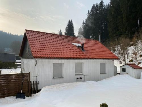 Detached holiday home with fenced garden in beautiful Thuringia - Schmiedefeld am Rennsteig