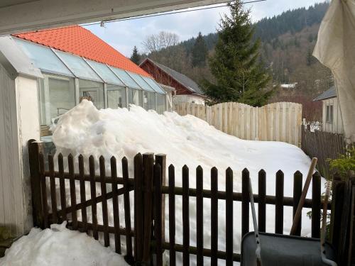 Nice holiday home in Schmiedefeld am Rennsteig with garden