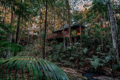 Narrows Escape Rainforest Retreat