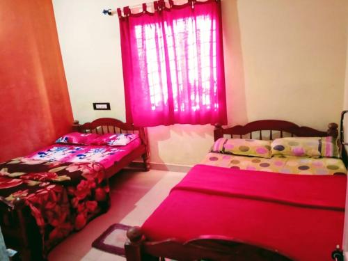 The dream team home stay