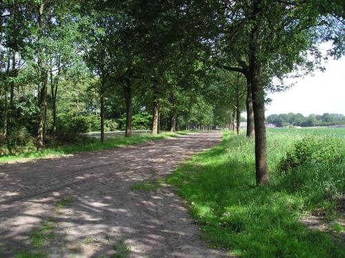 't Rond Bargie - image 5