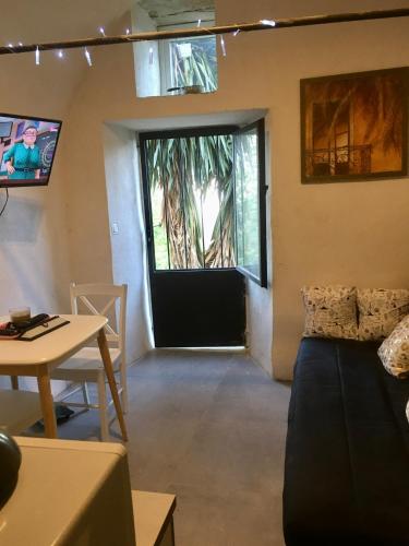 Studio Saleccia