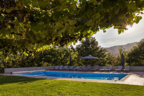 Casa do Carvalho - Ponte de Lima Casa do Carvalho - Ponte de Lima