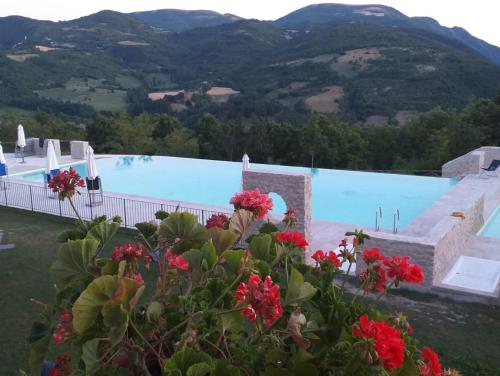 La Locanda del Collaccio 2