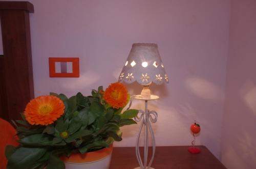 I Colori di Mag