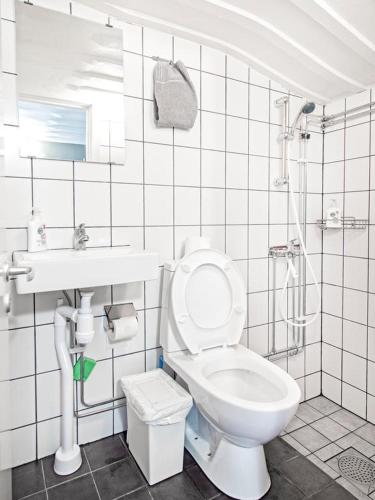 Mosebacke Hostel - image 5