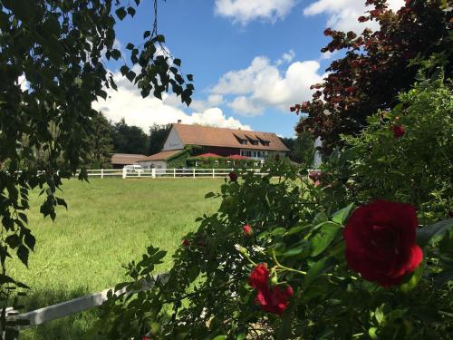 Hofgut Albführen - Hotel - Dettighofen