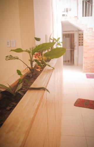 Lobby, Hotel Paradiso in Joao Pessoa City Center