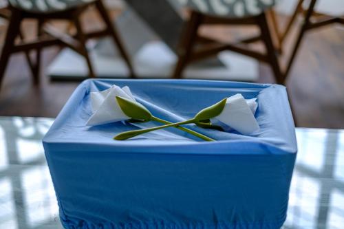 Robertsbrook Guest House - image 6