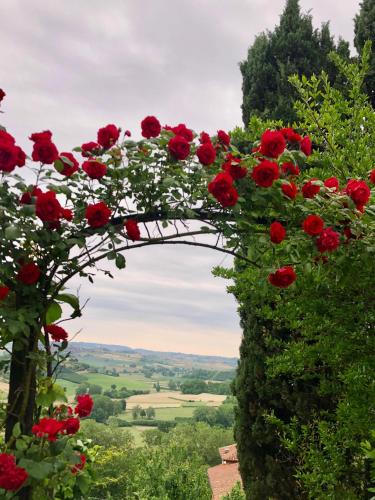 Villa Wilkins gîte à louer Corsione