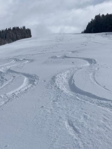 Chalets Savoie - image 9