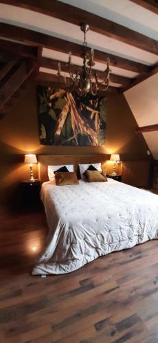 Bed & Breakfast de Kienstee - image 9