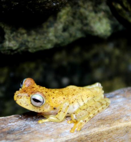 La Aldea Hostel, Camping y Hamacas