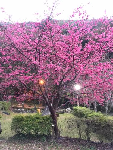 薔薇谷 民宿字108號 薔薇谷 民宿字108號