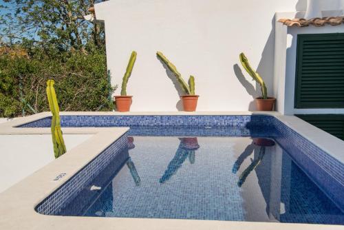 Traditional Countryside Quinta in Santa Barbara de Nexe